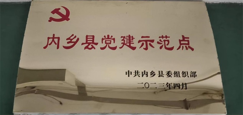 喜報(bào)弱贼！華咐嫉罚科技獲評(píng)“內(nèi)鄉(xiāng)縣黨建示范點(diǎn)”