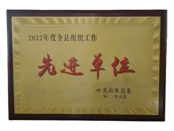 喜報晕忙！華附蝗担科技榮獲 內(nèi)鄉(xiāng)縣2022年度組織工作先進(jìn)單位